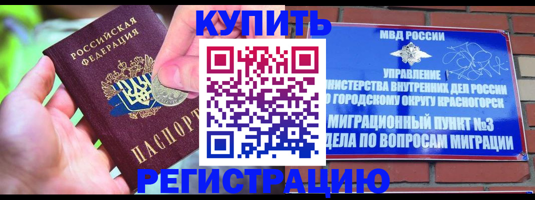прописка законно в Могочи